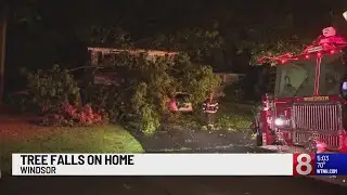 Tree falls on home in Windsor