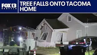 Tree falls onto Tacoma home | FOX 13 Seattle