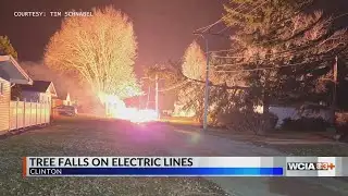 Tree falls onto wires, causes 