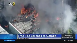 Tree fire spreads to garage in Melrose District