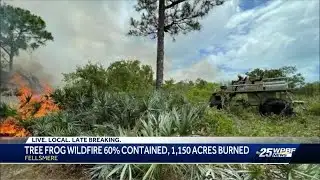 Tree Frog Wildfire Update