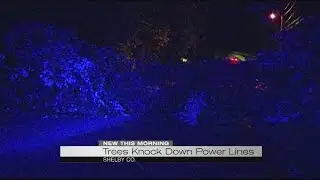 Tree knocks down power lines