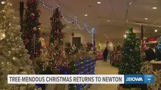 Tree-mendous Christmas tradition returns to Newton