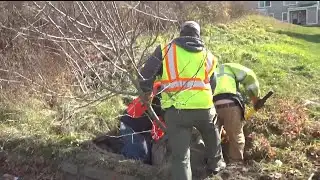 Tree planting effort underway in Ellsworth
