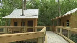 Treehouses becoming the new vacation spot in Bertie County