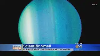 TRENDING: Scientists Confirm That Uranus Is Stinky