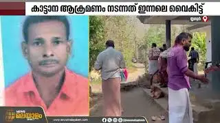തൃശൂരിൽ കാട്ടാന ആക്രമിച്ച പീച്ചി സ്വദേശി പ്രഭാകരൻ മരിച്ചു | Trissur | Wild Elephant