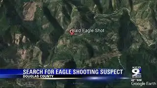 Troopers search for bald eagle killer in Douglas County