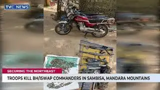 Troops Kill Two Boko Haram, ISWAP Commanders In Sambisa, Mandara Mountains