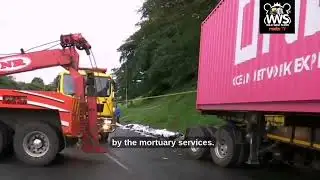 Truck kills 11 at Lotus Park  #news