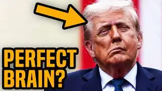 Trump accidentally owns himself again