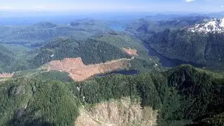 Trump administration revives controversial Alaska logging project - clipped version