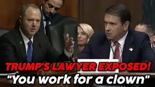 Trump Attorney Left SPEECHLESS After Adam Schiff EXPOSE Him