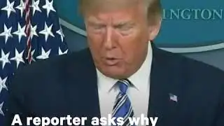 trump downplayed a covid-19 for week a reporter  ask why