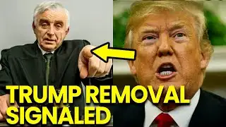 Trump FINALLY Stood IN MOST DEVASTATING RULING YET