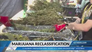 Trump is ‘considering’ marijuana reclassification