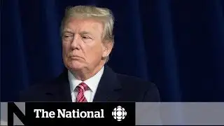 Trump is undermining American democracy and Canada should be concerned, expert says