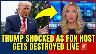 TRUMP PANIC: Fox Host Gets DESTROYED on Live TV! 🚨