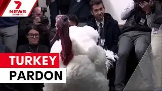 Trump pardons turkeys Gobble and Waddle | 7NEWS