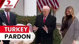 Trump pardons turkeys Gobble and Waddle | 7NEWS