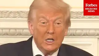 Trump Reacts To Democratic Wins In 2025 Elections