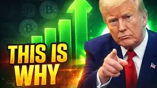 Trump’s Biggest Crypto Move Yet (Markets React)