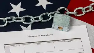 Trump should ‘absolutely’ consider overhaul of refugee system