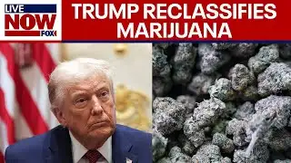 Trump signs executive order reclassifying marijuana