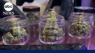 Trump signs order easing marijuana restrictions