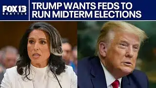 Trump wants feds to run US midterm elections