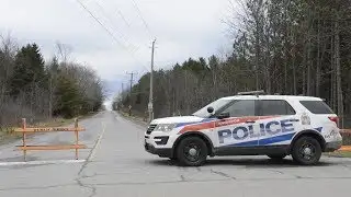 TSB investigating small plane crash in Kingston, Ont.