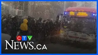 TTC asks for patience as 