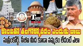 TTD Ghee Scam | Why Is Chandrababu Govt Questioning CBI–SC Probe?