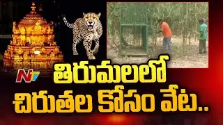 TTD Sets Traps to Catch Leopard | Special Report | Ntv