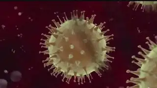 Tuesday marks five years since start of COVID-19 Pandemic