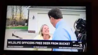 TV Deer Interview