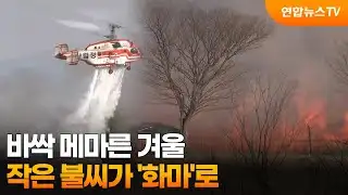 바싹 메마른 겨울...작은 불씨가 