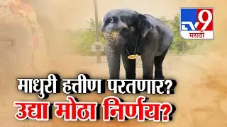 tv9 Marathi Special Report | माधुरी हत्तीण परतणार? उद्या मोठा निर्णय? : Kolhapur Madhuri Elephant