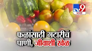 tv9 Special Report | Vasai Virar Viral Video | फळांवर शिंपडण्यासाठी गटारीच्या पाण्याचा वापर