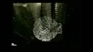 TVRI | OBB English News Service? (198?-199?)