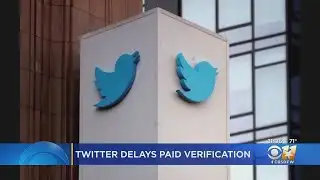 Twitter delays paid verification