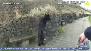 Two arrested after armed bank robbery in Depoe Bay