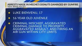 Two arrested in New Iberia Sunday morning vandalism