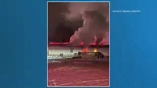 Two dogs killed in Lexington house fire