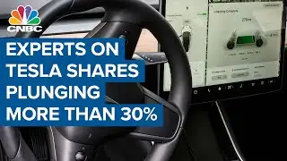 Two experts discuss Tesla as shares plunge more than 30%