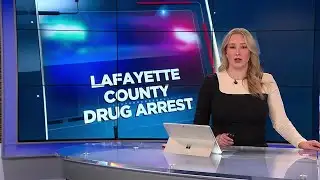 Two face drug charges after Lafayette Co. home search