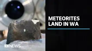Two meteorites found along the Nullarbor Plain | ABC News