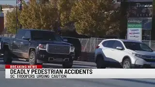 Two pedestrians killed on same night, troopers warning about safety