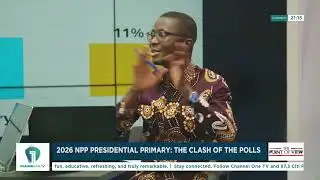 Two Polls, One Big Question: Who’s Leading the NPP Race? | Point of View