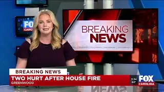 Two residents hurt, several dogs killed in house fire